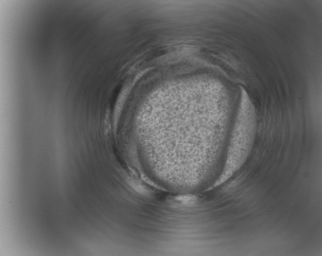 X0000067460478200604281833