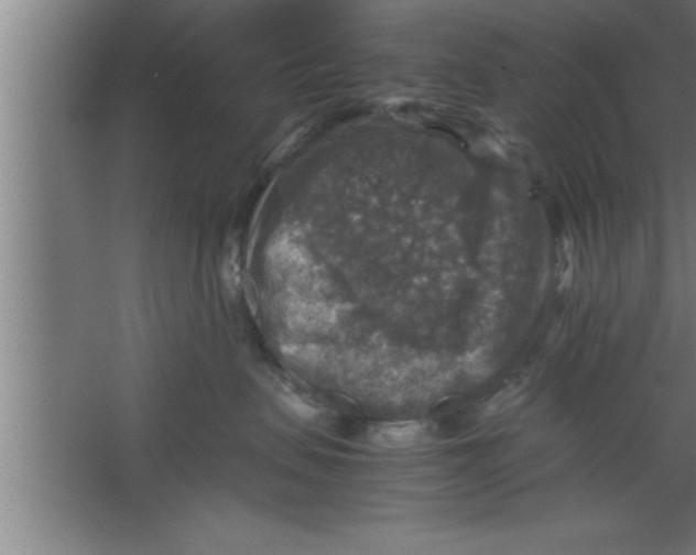 X0000067460479200604281833