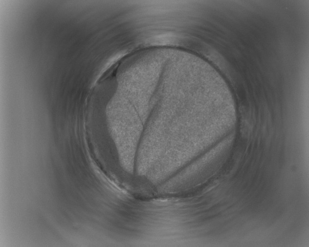 X0000067460482200604281832