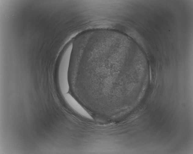 X0000067460483200604281832