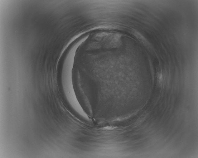 X0000067460484200604281832