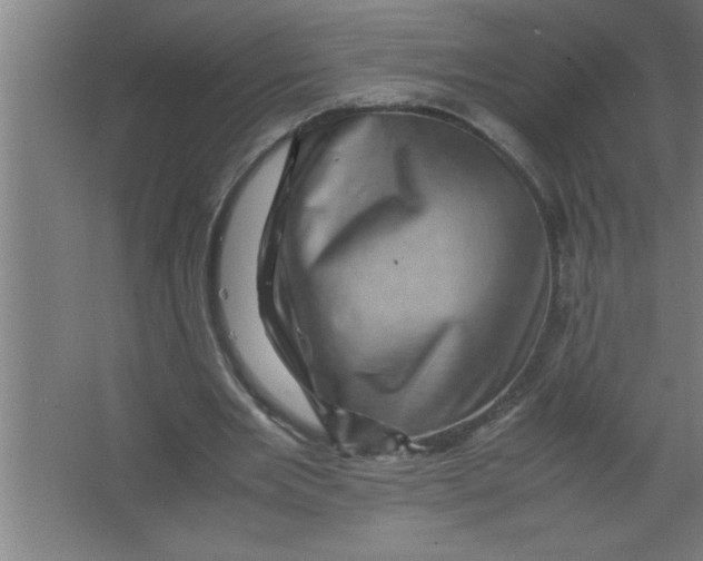 X0000067460485200604281832