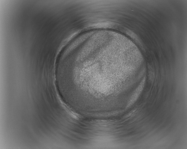 X0000067460486200604281832