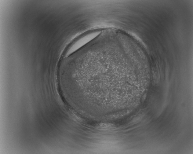 X0000067460487200604281832