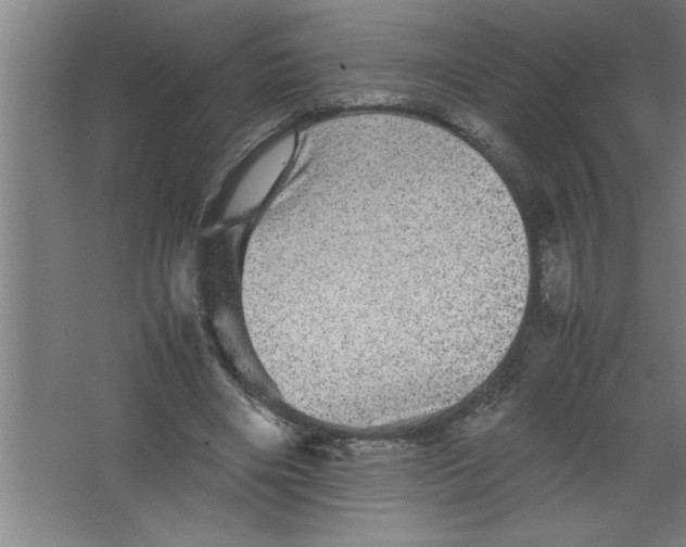 X0000067460490200604281832