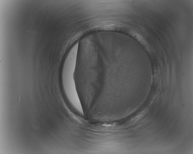 X0000067460493200604281832