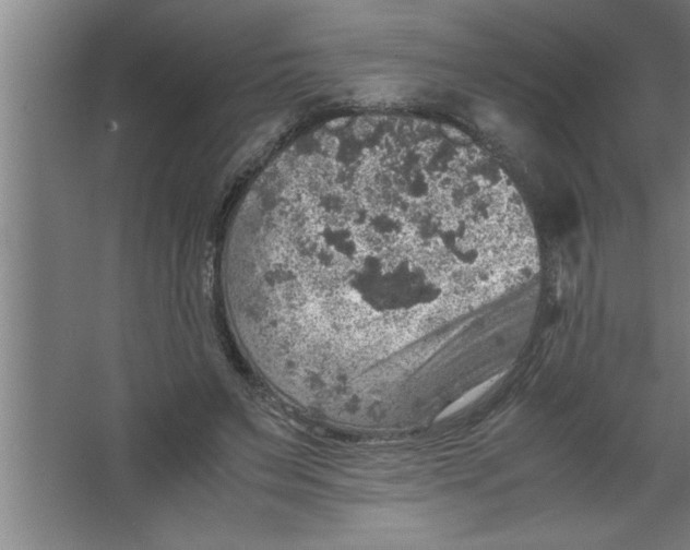 X0000067460495200604281832