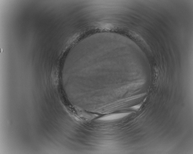 X0000067460496200604281832