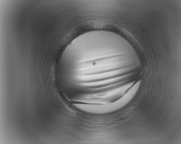 X0000067460497200604281832