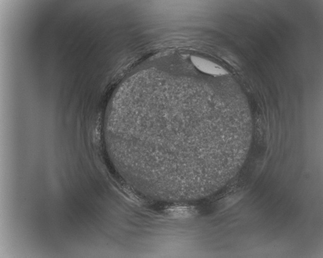 X0000067460499200604281832