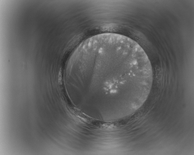 X0000067460502200604281832