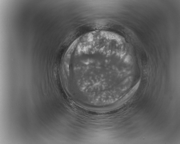 X0000067460503200604281832