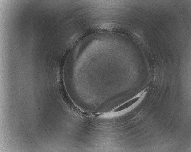 X0000067460504200604281832