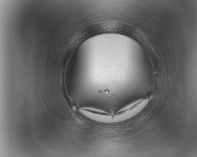 X0000067460505200604281832