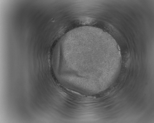 X0000067460510200604281832