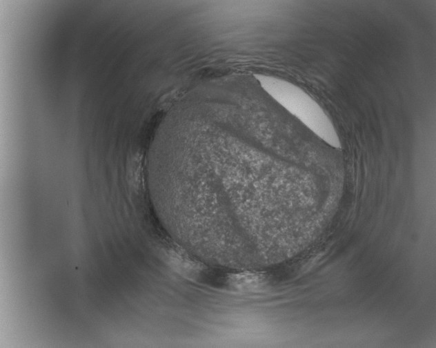 X0000067460511200604281831