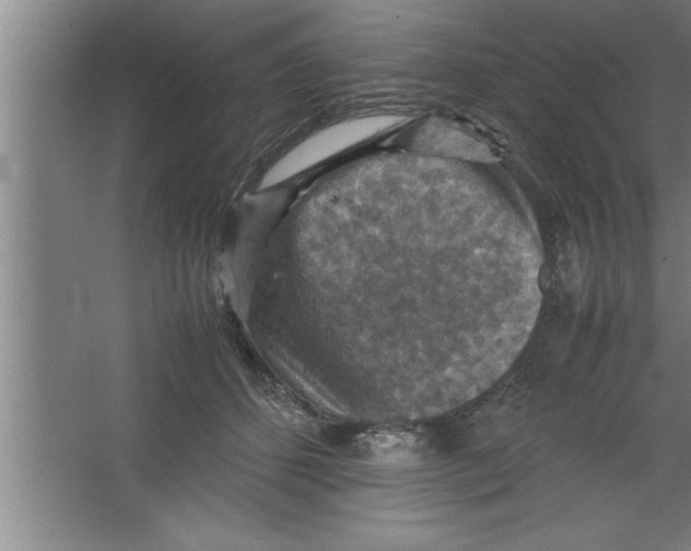 X0000067460512200604281831