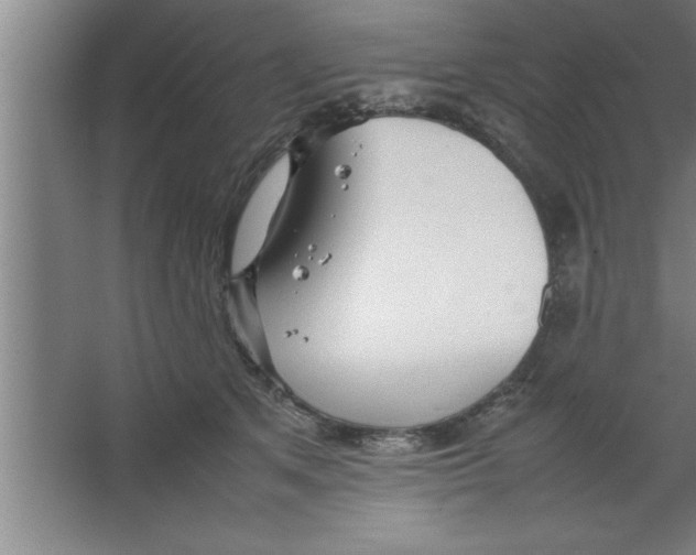 X0000067460513200604281831