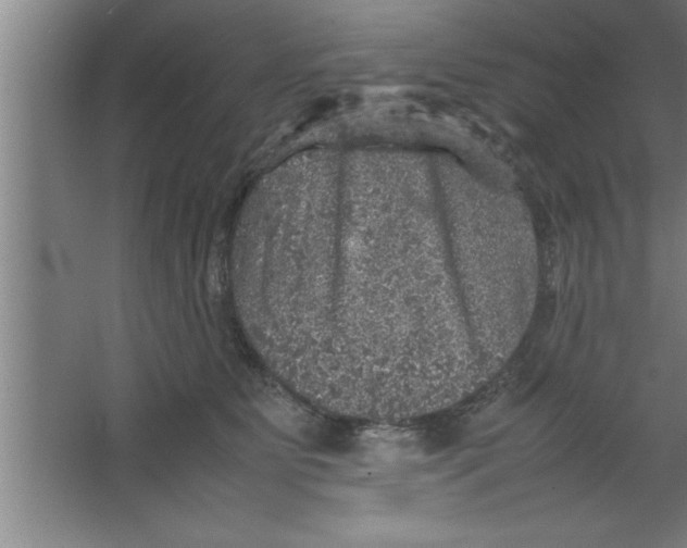 X0000067460515200604281831