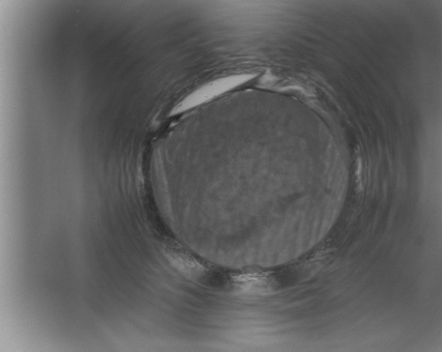 X0000067460516200604281831