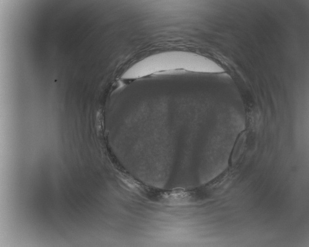 X0000067460517200604281831