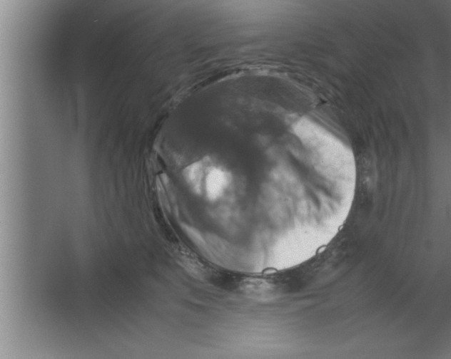 X0000067460519200604281831