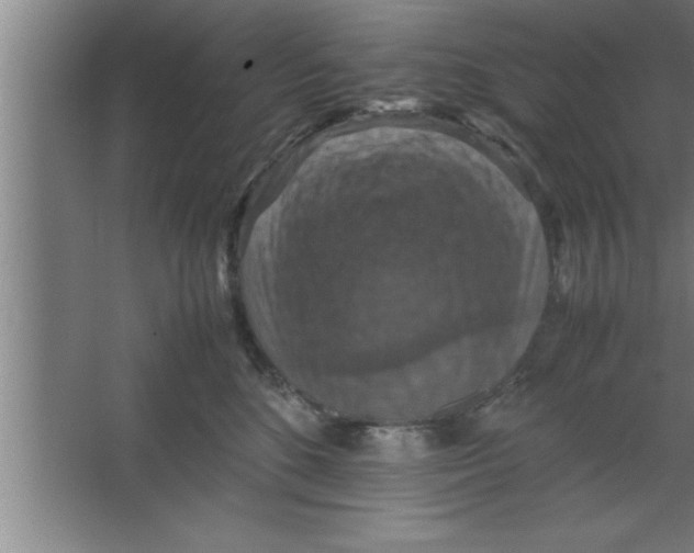 X0000067460520200604281831