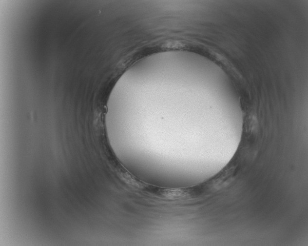 X0000067460521200604281831