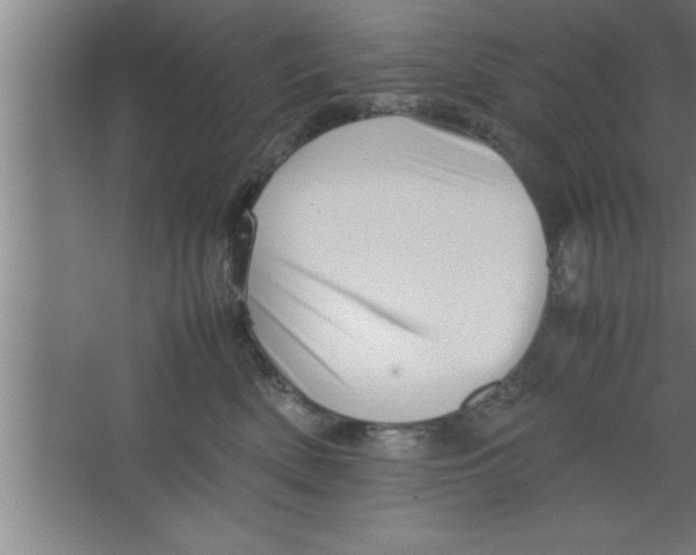 X0000067460522200604281831