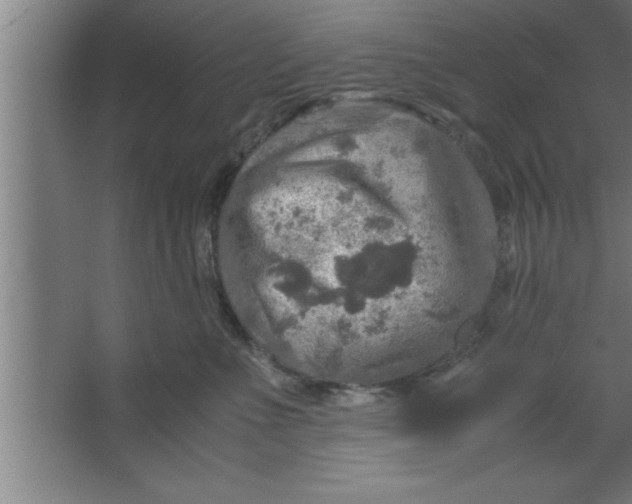 X0000067460523200604281831