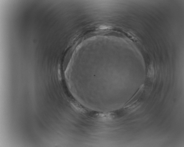 X0000067460524200604281831