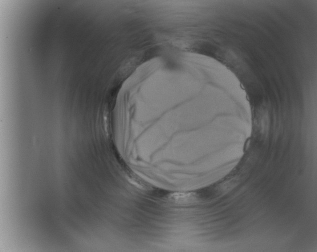 X0000067460526200604281831