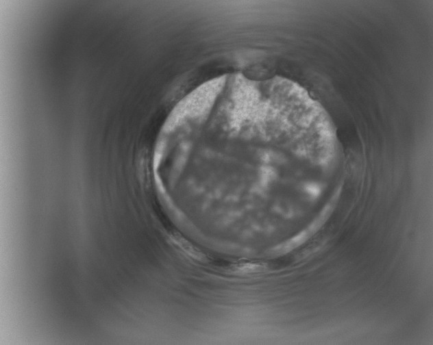 X0000067460527200604281831