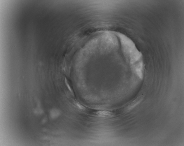 X0000067460528200604281831