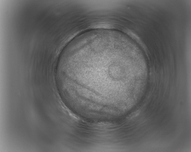 X0000067460529200604281830