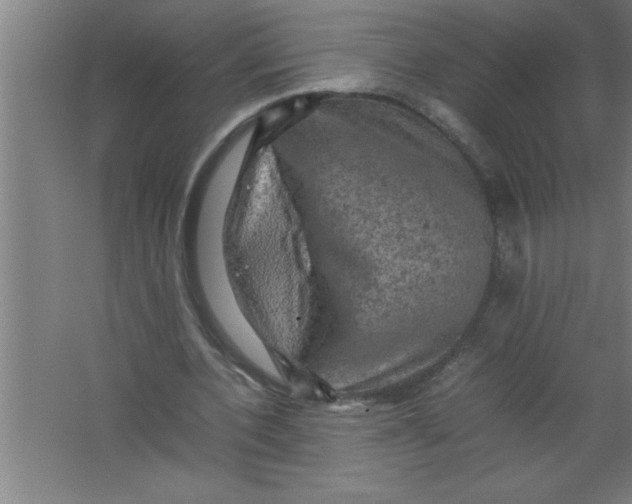 X0000067460532200604281830