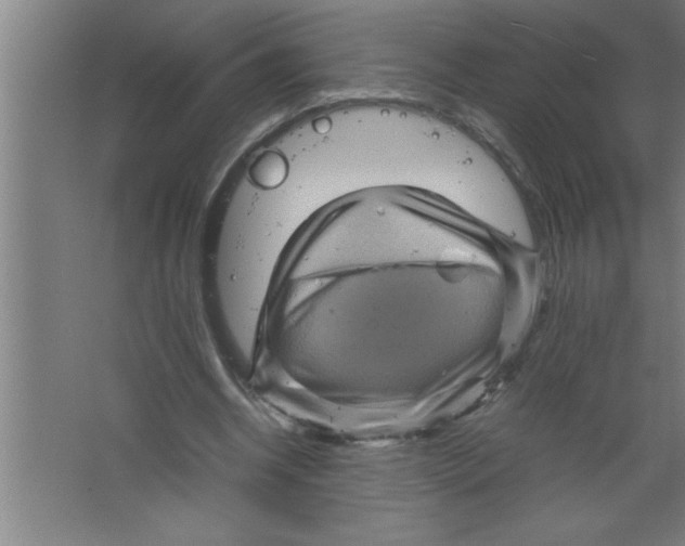 X0000067460534200604281830