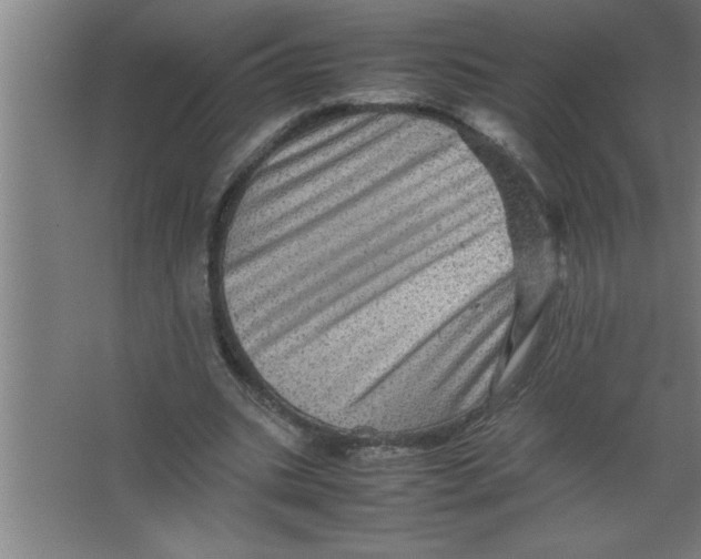 X0000067460535200604281830