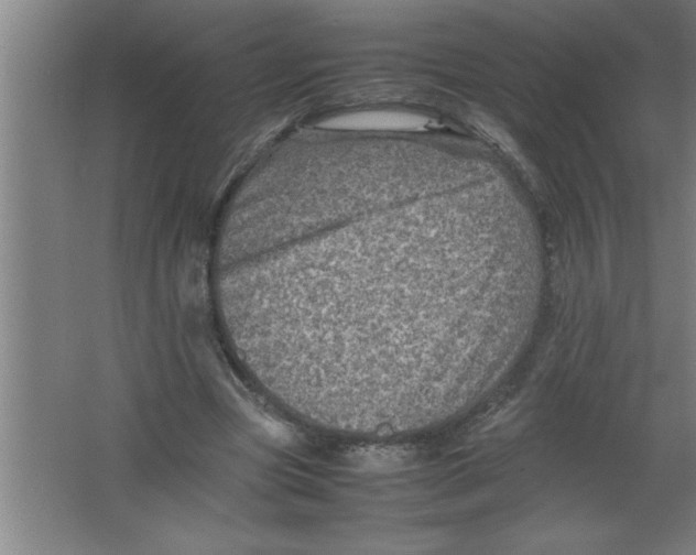 X0000067460537200604281831