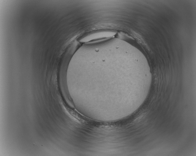 X0000067460538200604281831