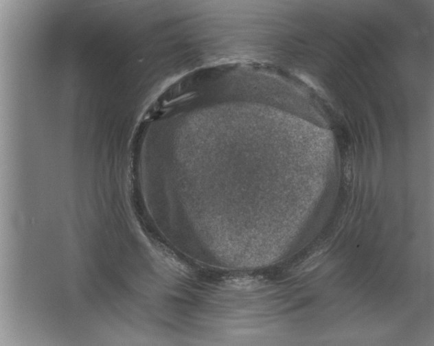 X0000067460540200604281831