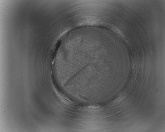 X0000067460542200604281831