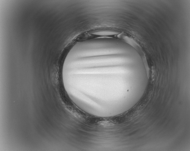 X0000067460544200604281831