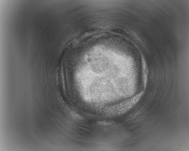 X0000067460545200604281831