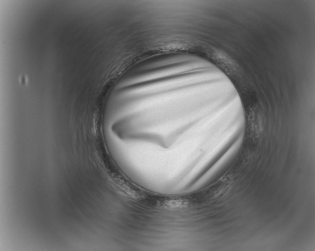 X0000067460546200604281831