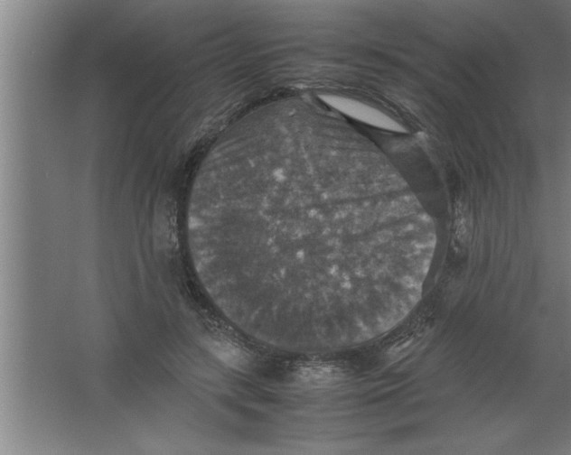 X0000067460547200604281831