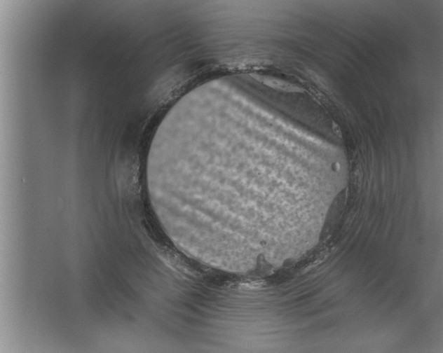 X0000067460548200604281831