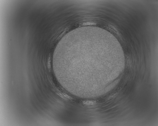 X0000067460549200604281831