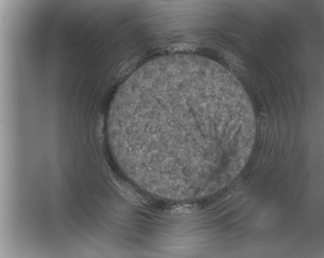 X0000067460550200604281831