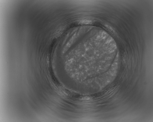 X0000067460551200604281831